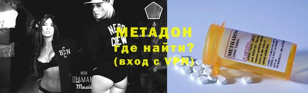 индика Алзамай