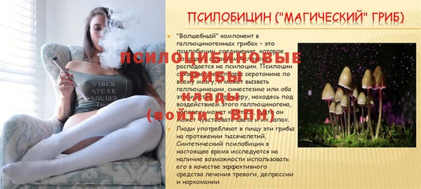 spice Алексеевка