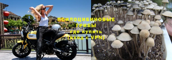 индика Алзамай