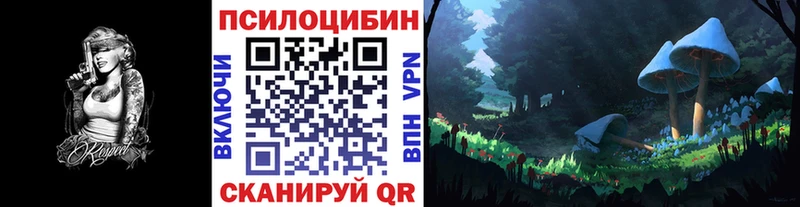 Галлюциногенные грибы Psilocybine cubensis  наркота  Томск 